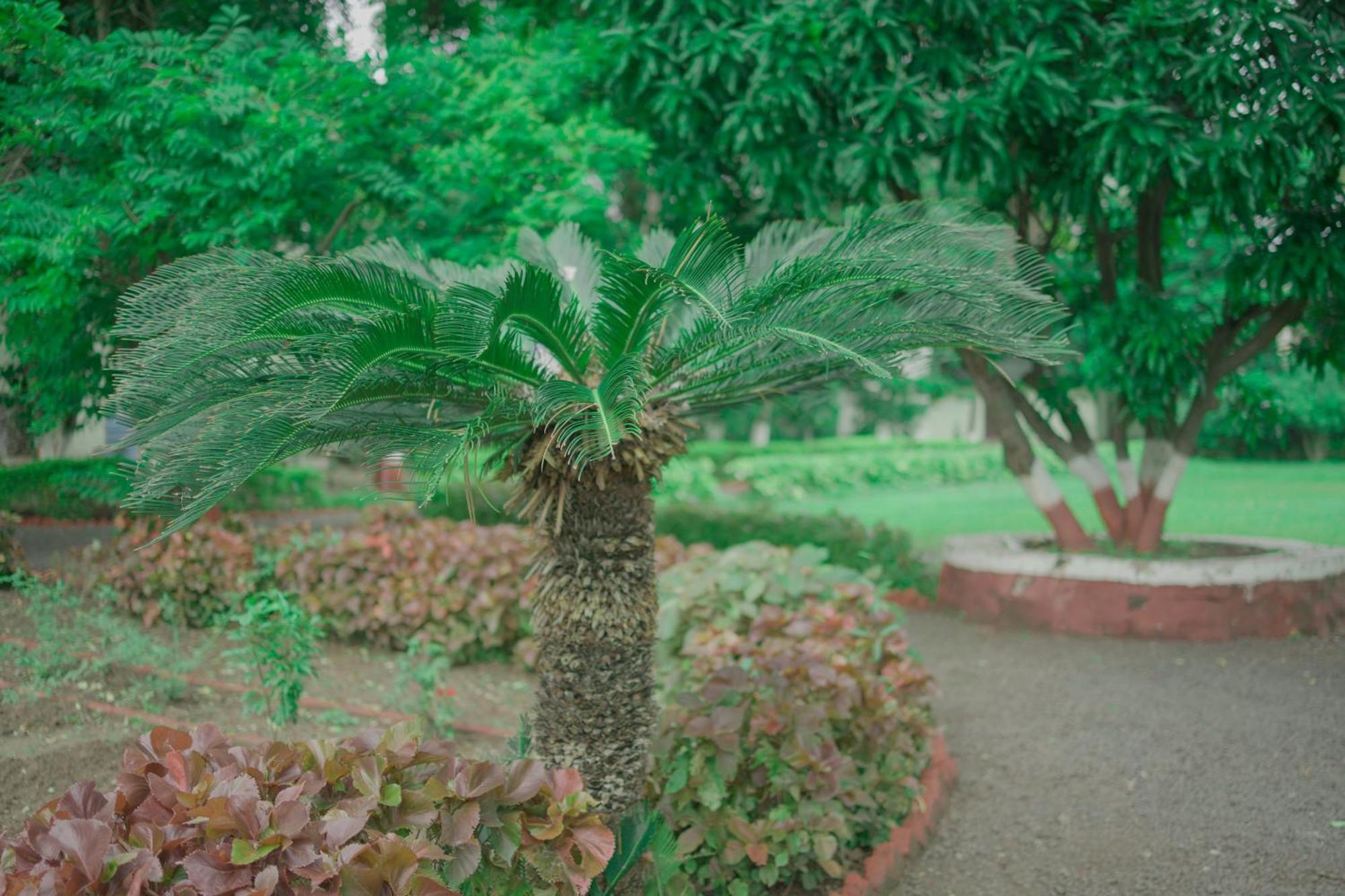 Ambassador Ajanta Hotel, Aurangabad Exterior foto